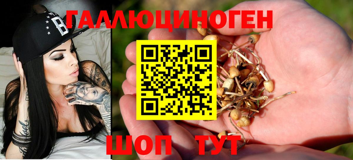 Галлюциногенные грибы мицелий Красноярск